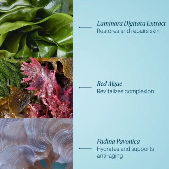 Elemis Pro-Collagen Anti-wrinkle Hydrating Night Cream, 15ml (Travel Siz… - Picture 5 of 8